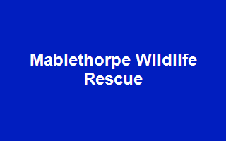 Mablethorpe Wildlife Rescue