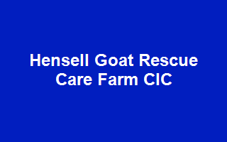 Hensell Goat Rescue Care Farm CIC